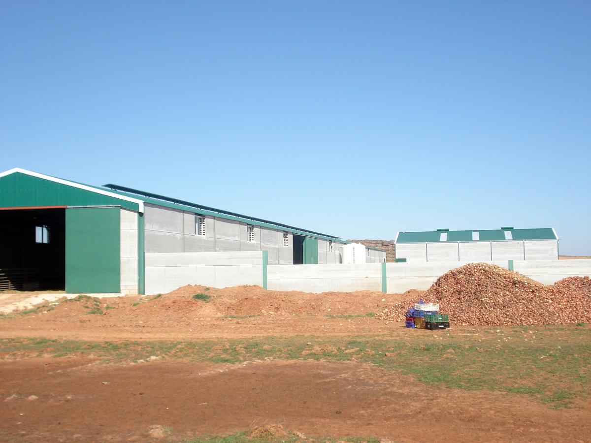 Nave Ganadera (Corral Rubio(AB))