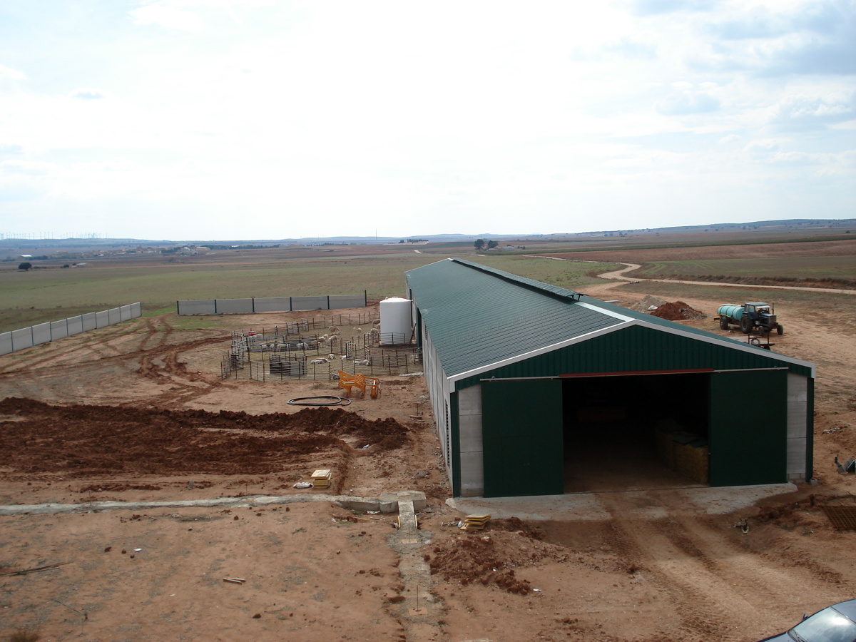Nave Ganadera (Corral Rubio(AB))