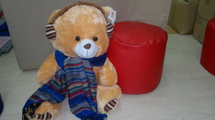 Nuestra mascota con tonos claros