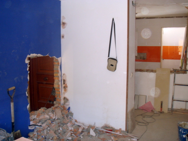 NUEVA EN TRADA A LA CASA