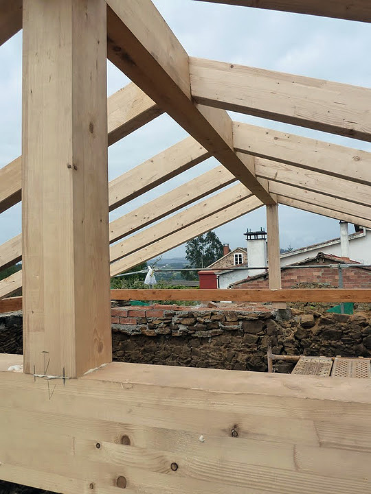 Nueva estructura de abeto laminado