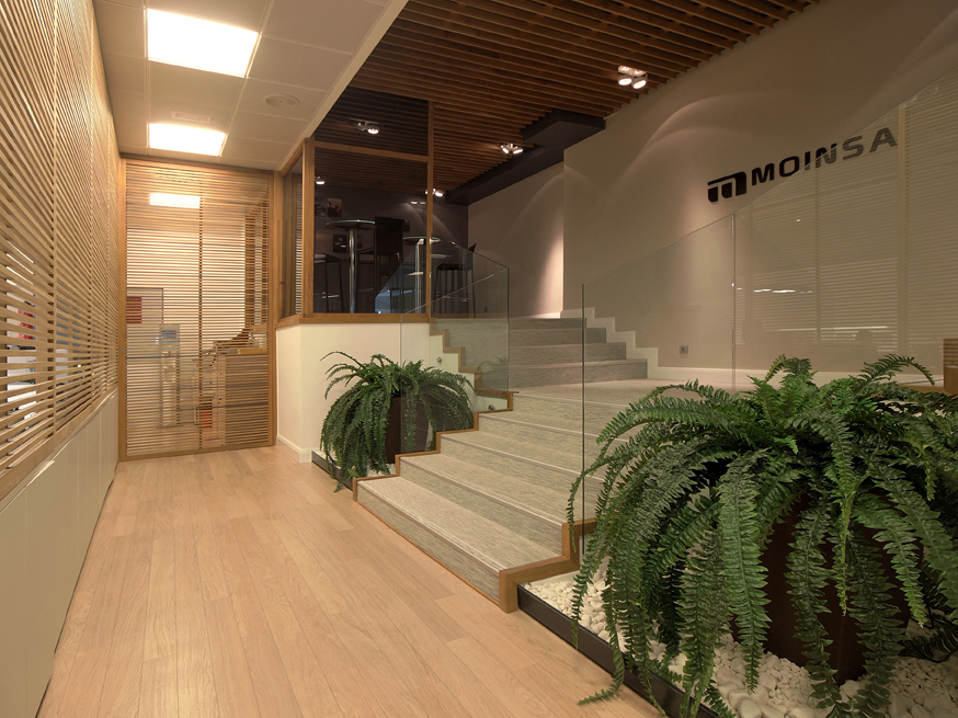 Oficinas Constructora Moinsa