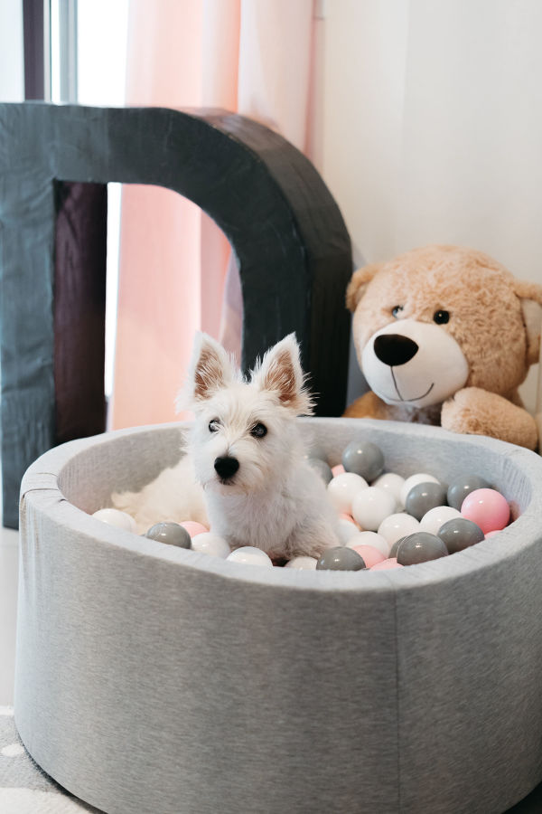 OK_HABITACIÓN BEBE RAMÓN Y CAJAL