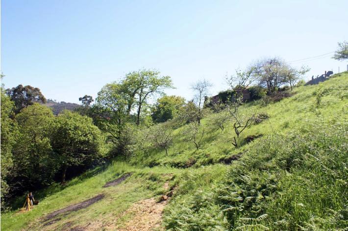 Panorámica de la parcela.