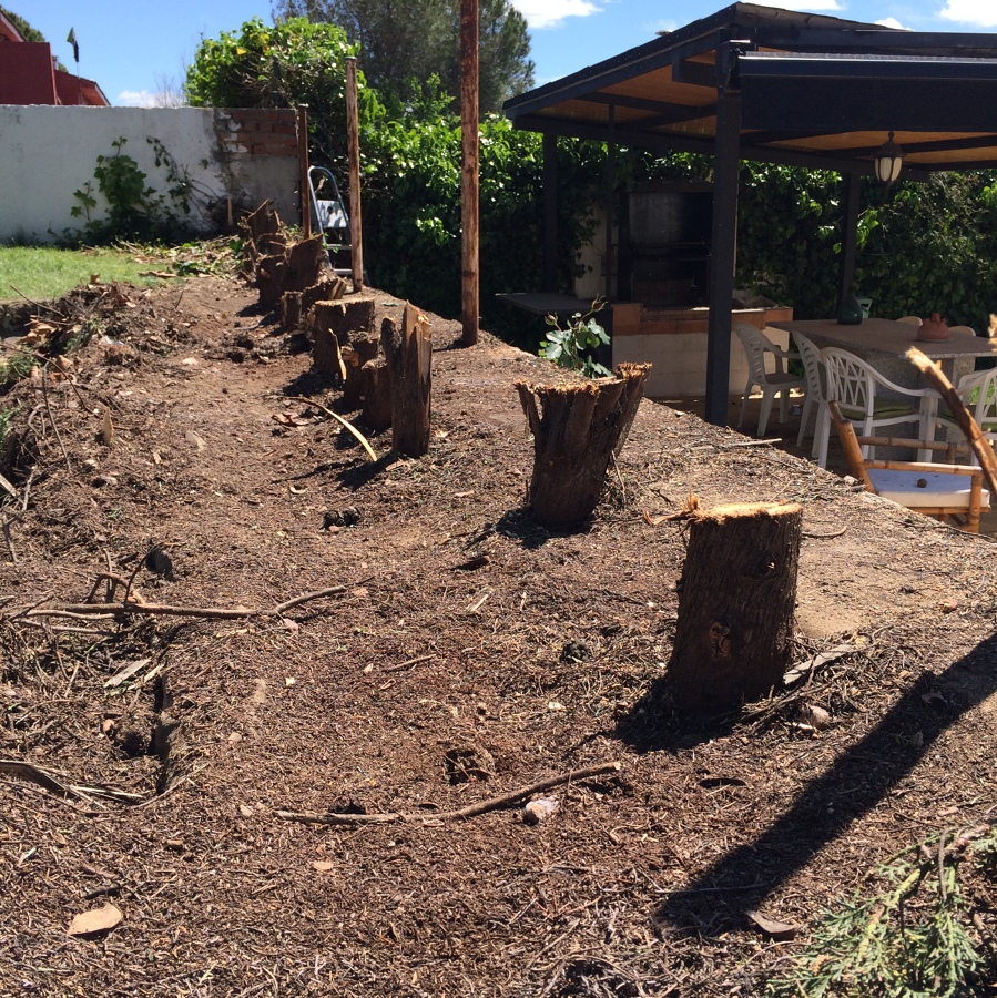 Panoramica del tabajo 1