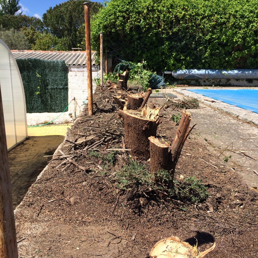 Panoramica del trabajo 2