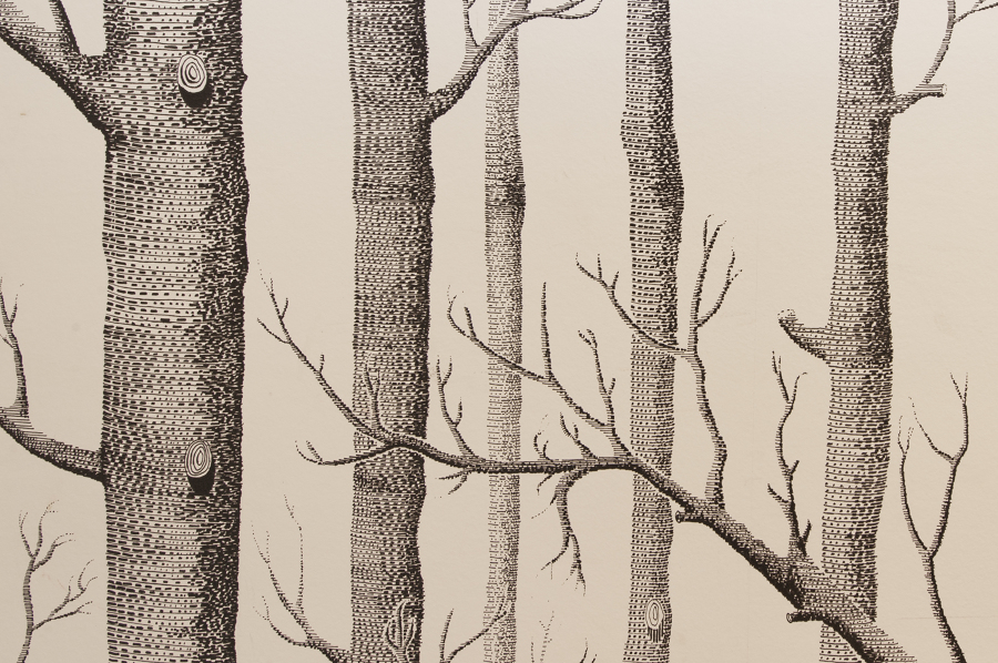 Papel pintado arboles - Decoración recibidor