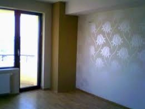 Papel, pintura, tarima, puertas y ventanas de PVC