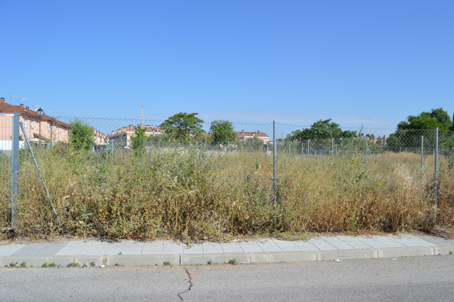 PARCELA 1 GRIÑON (ANTES)