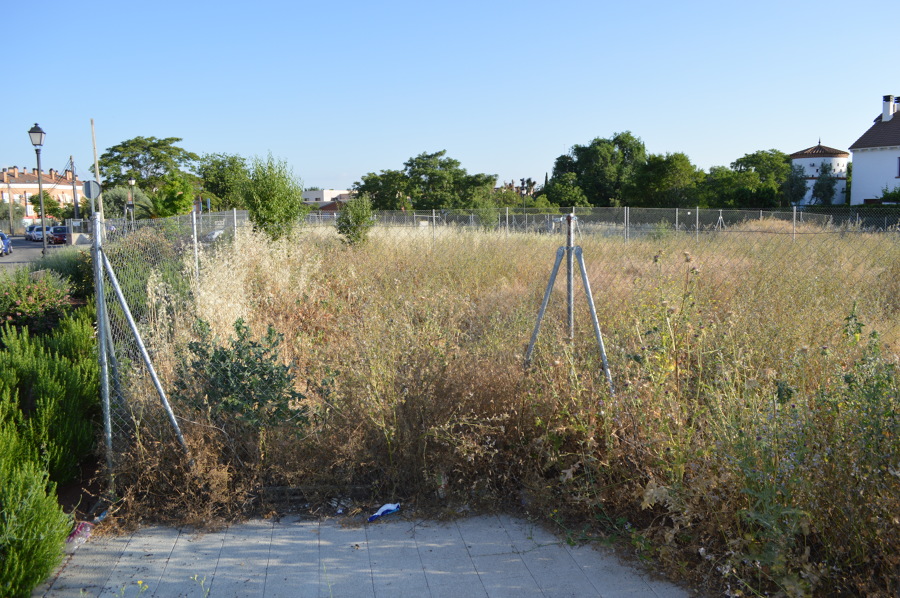 PARCELA 2 GRIÑON (ANTES)