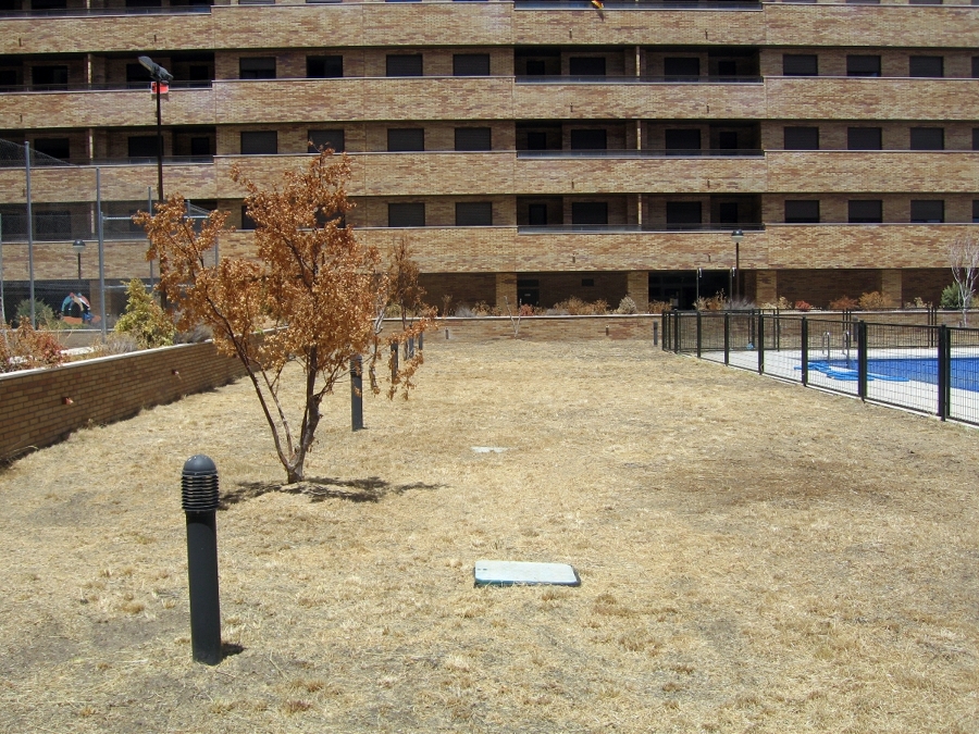 Parcela desbrozada 2