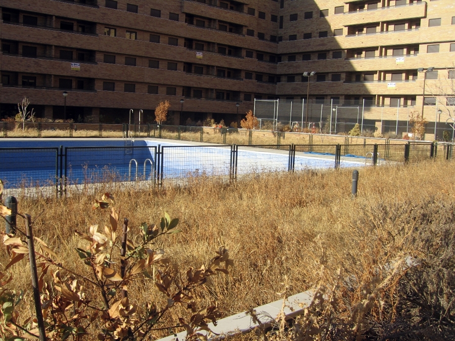 Parcela sin desbrozar 