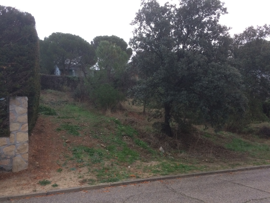 Parcelas urbanas desde 450 m2 por 30.000 €