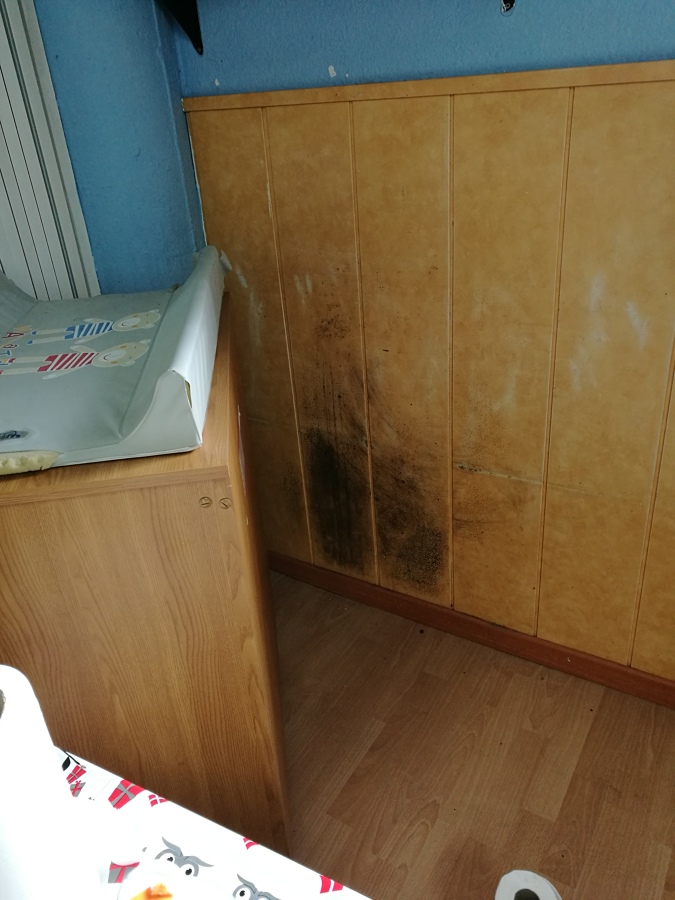 Pared con mancha de moho