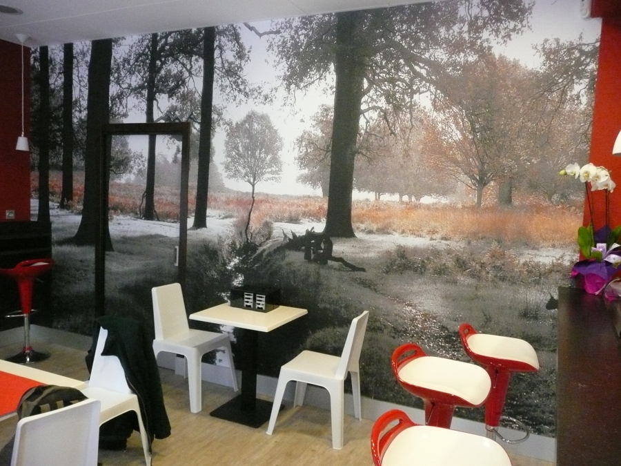 Pared con MURAL fotográfico evocador