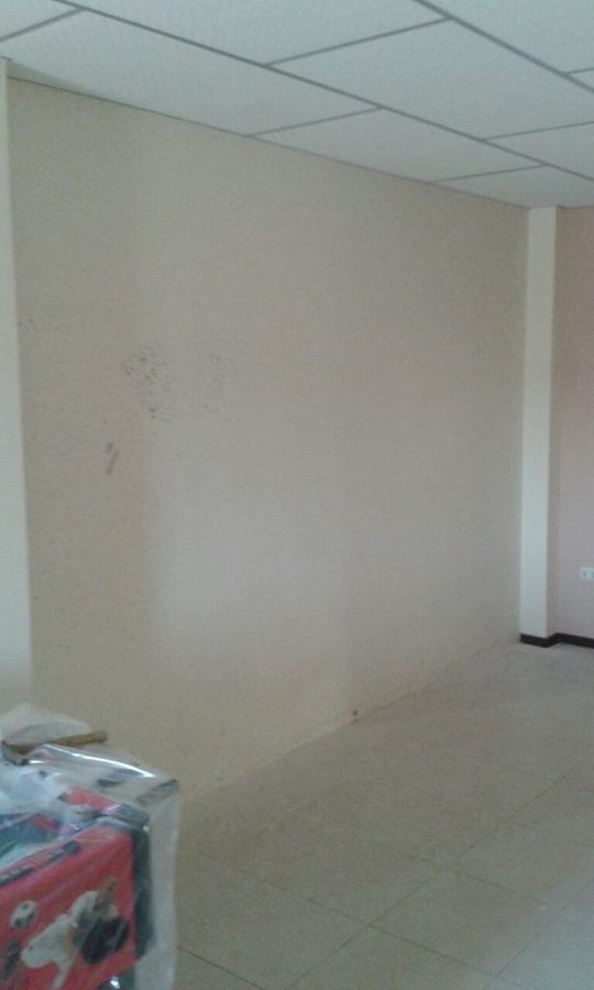 Pared de salón comedor