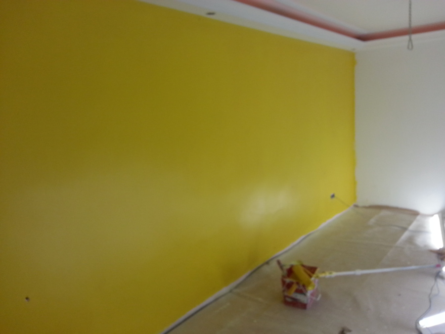 PARED DURANTE LA REFORMA