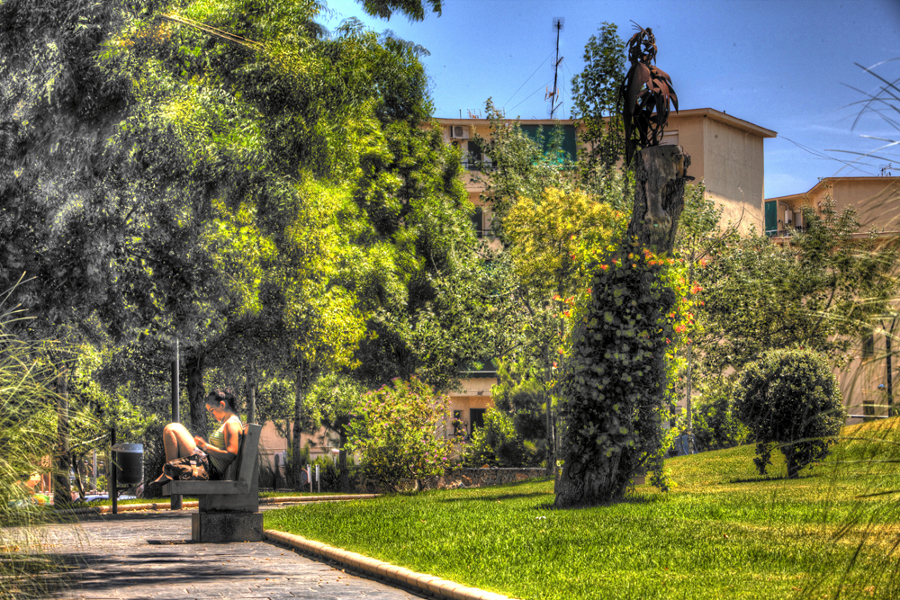 Parque de Los Juncos