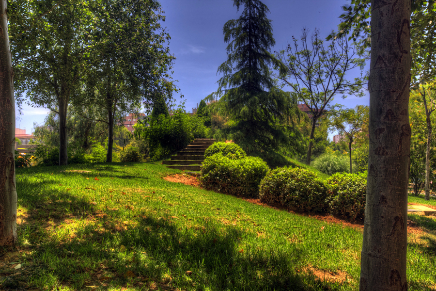Parque de Los Juncos