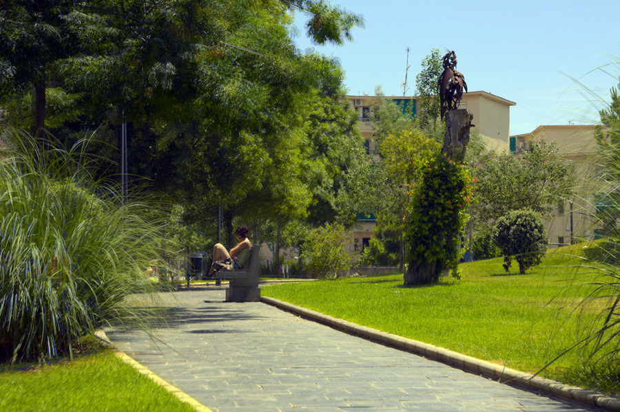 Parque de Los Juncos