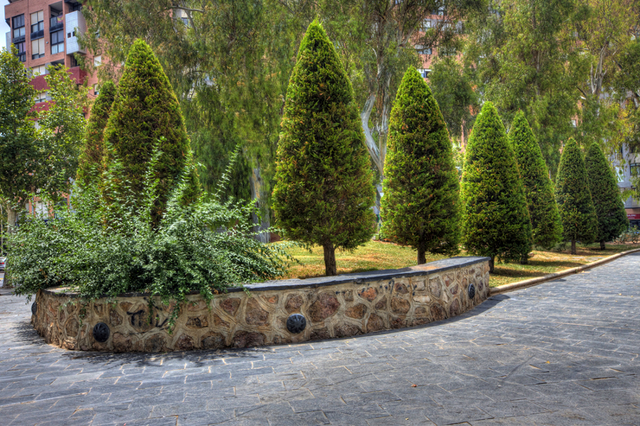 Parque de Los Juncos