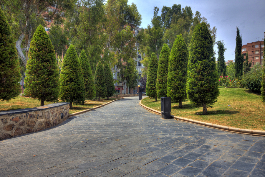 Parque de Los Juncos