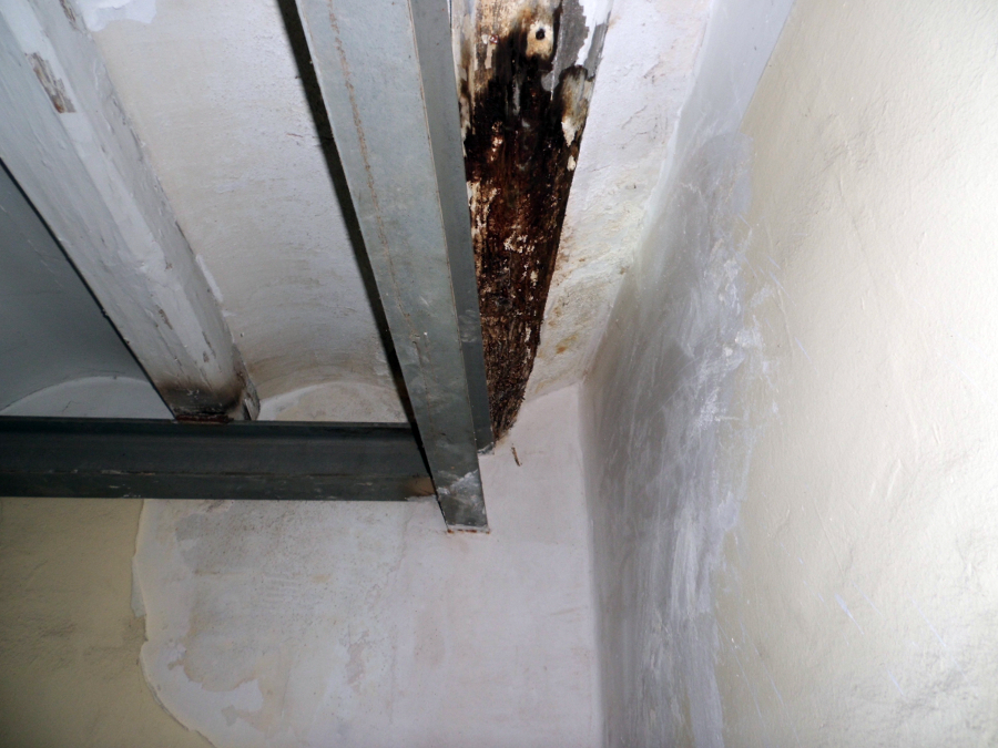 Parte luz anterior en estructura horizontal