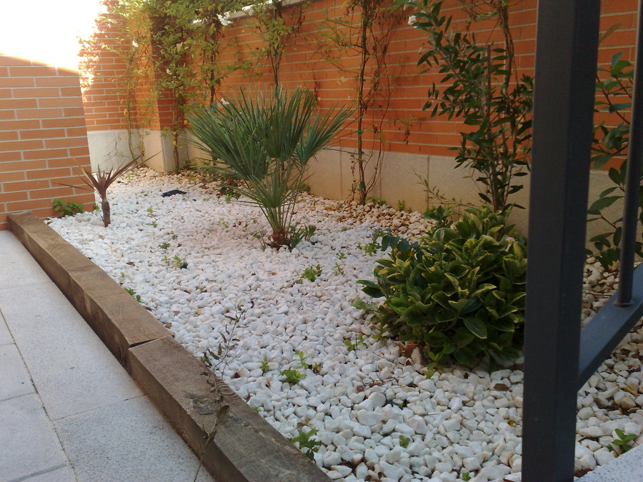 Parterre con manto de piedra blanca y plata ornamiental