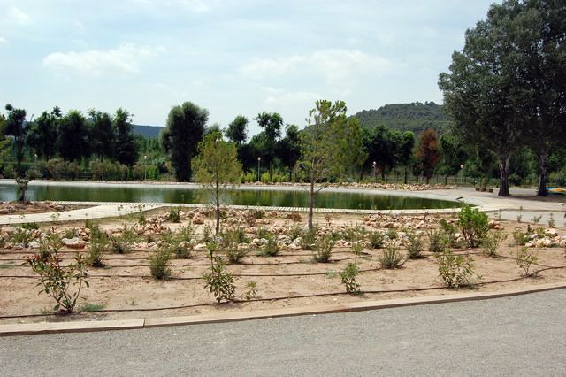 Parterre rocalla