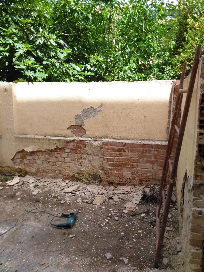 PATIO EMPEZANDO A PICAR