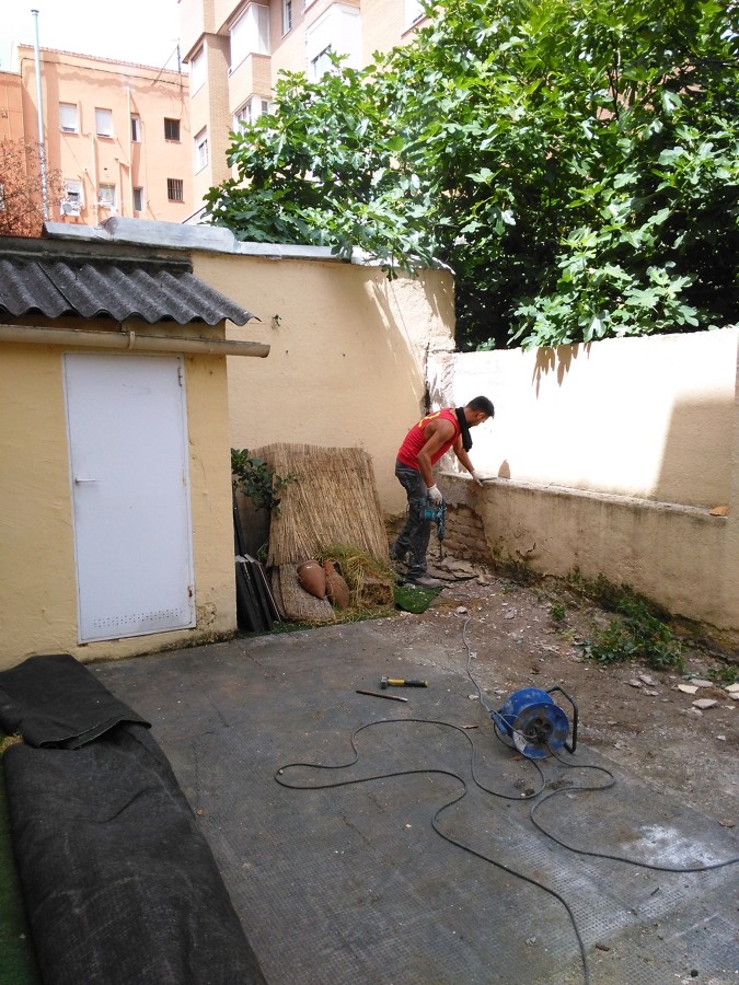 PATIO EMPEZANDO A PICAR