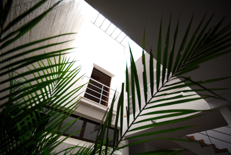 Patio en Salón Comedor