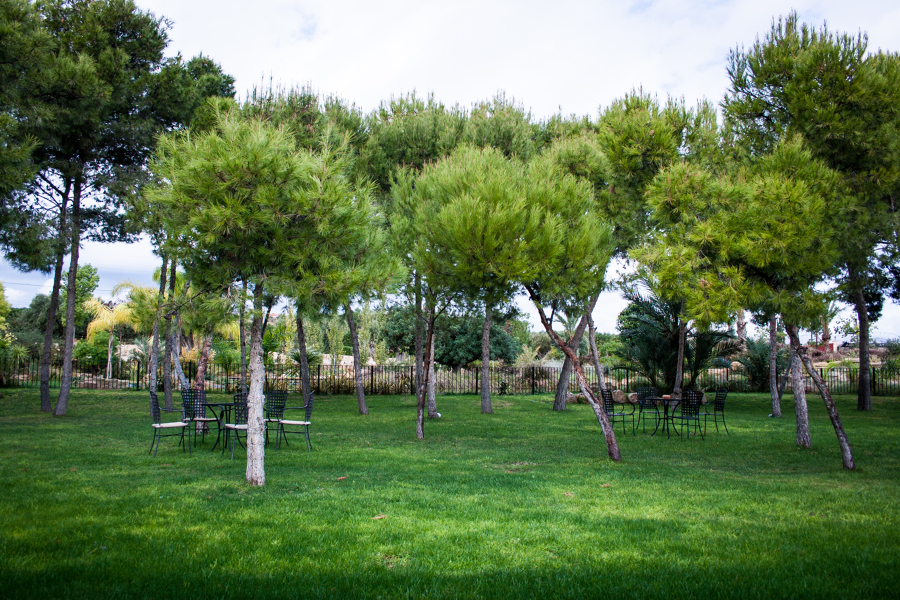 Pinada, zona de recepciones.