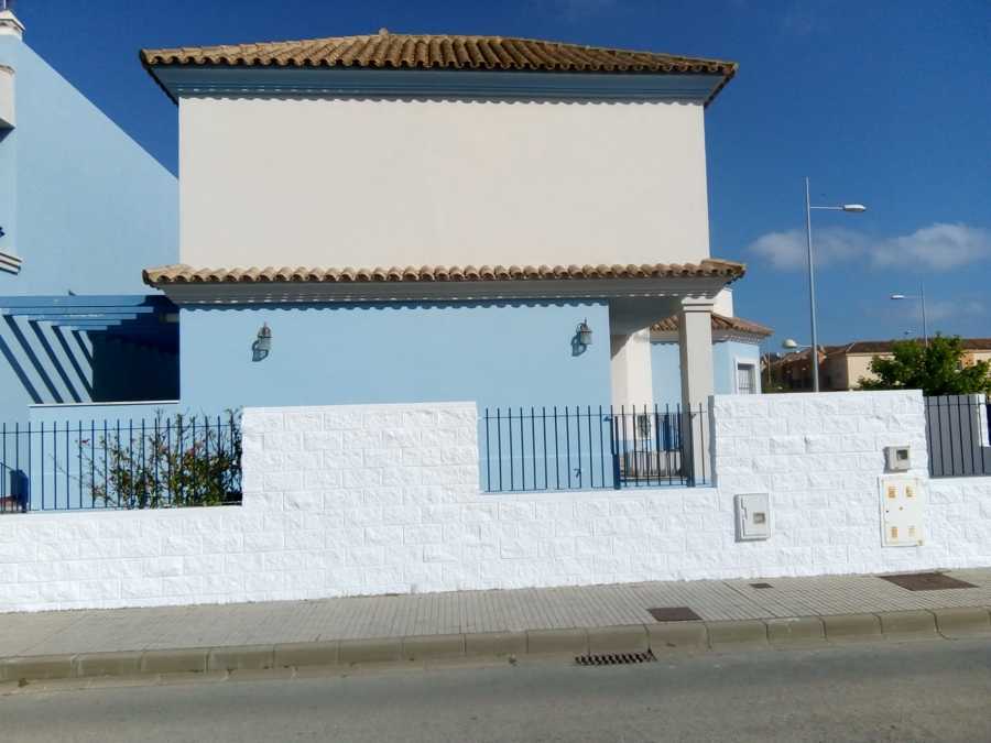 pintado