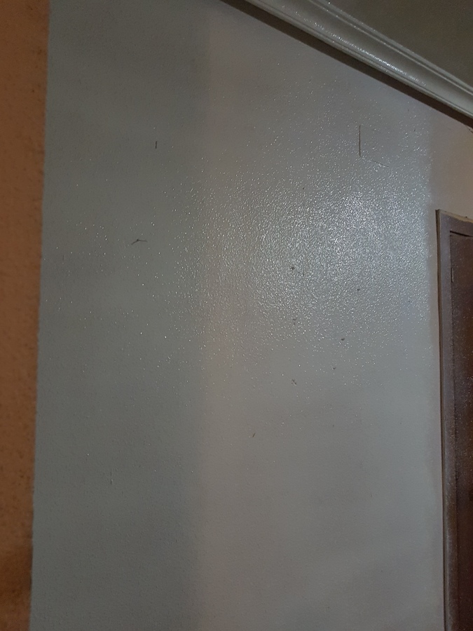 Pintado a pistola nieva generación