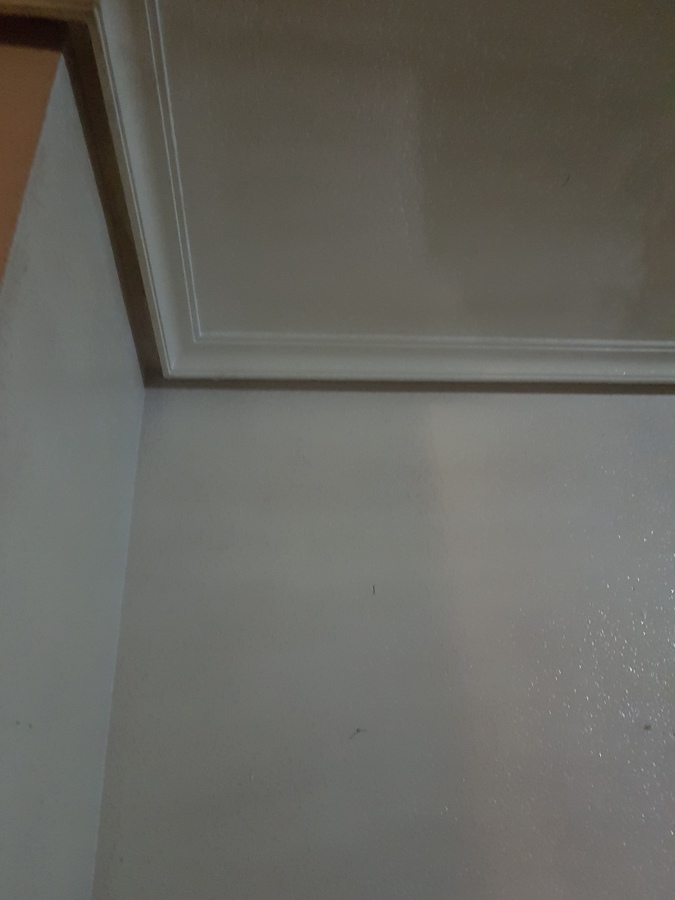 Pintado a pistola nieva generación interior