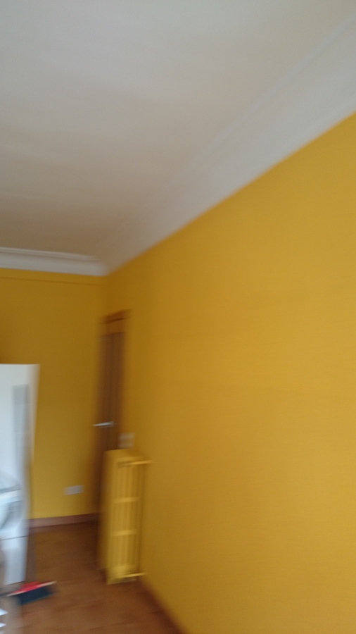 Pintado con pintura plástica 