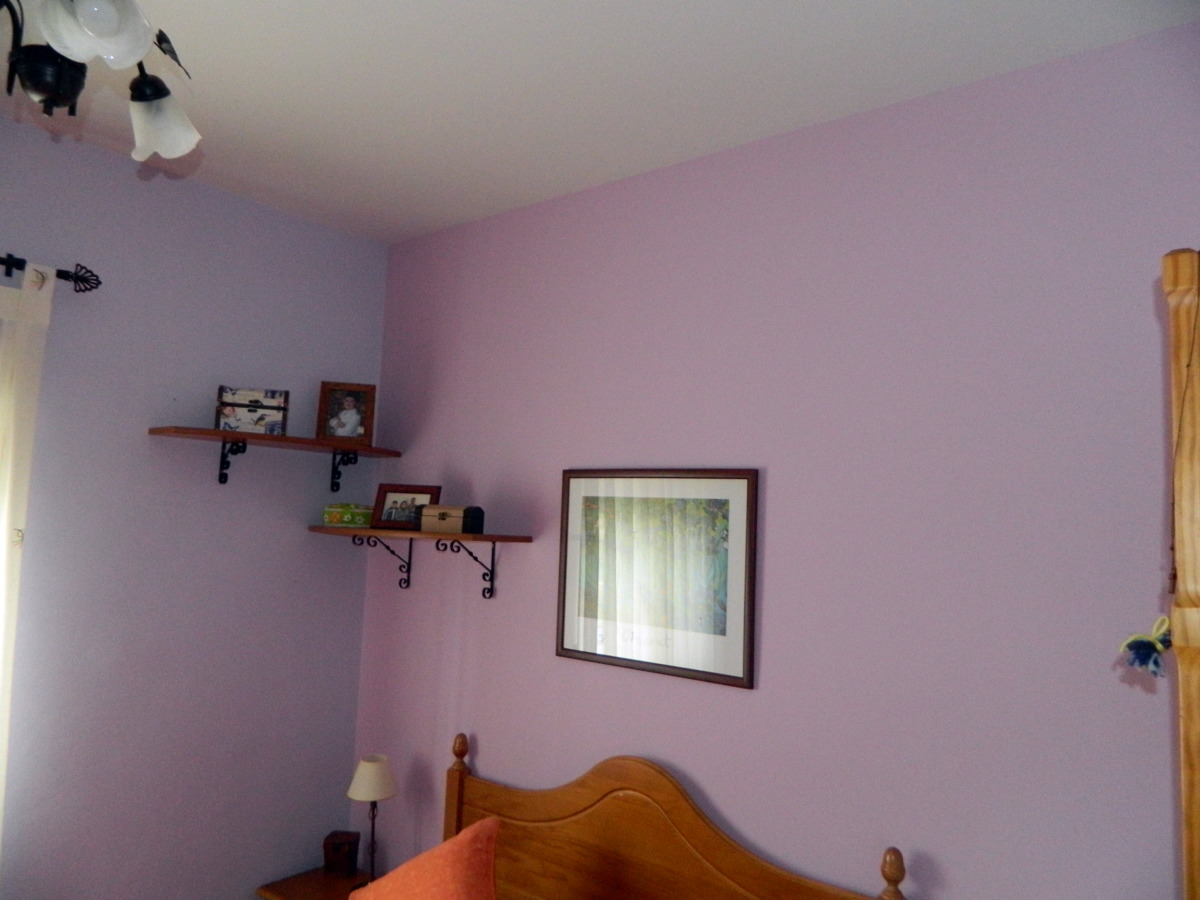 Pintado en plastica lisa dos tonos