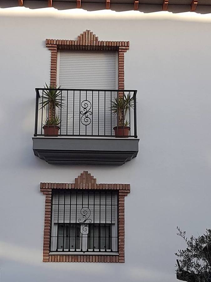 Pintura en fachada delantera y rejas