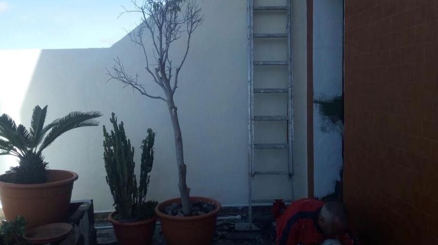 pintura exterior de fachada muros terraza