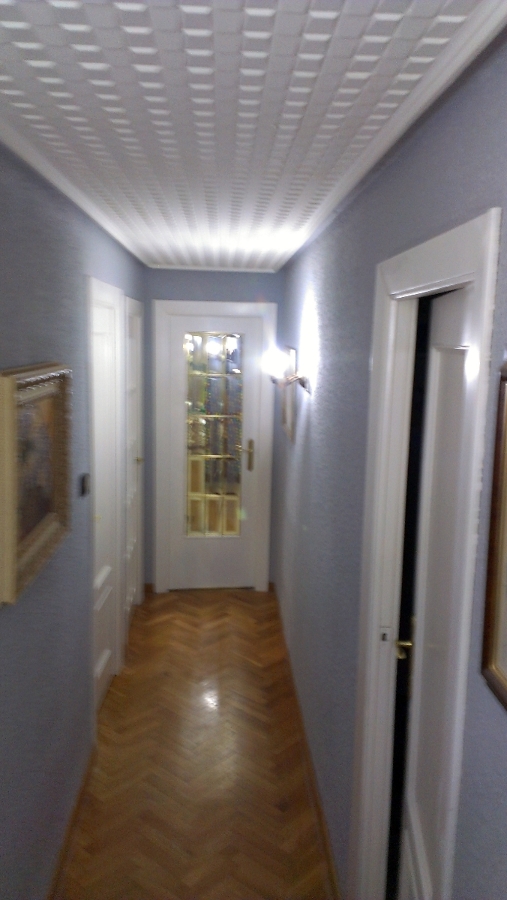 Pintura, lacado y electricidad