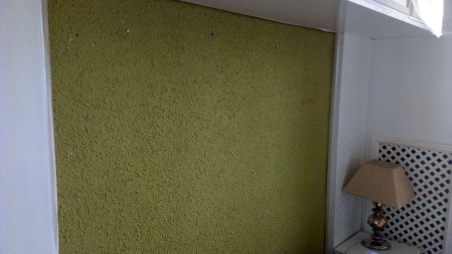 Pintura, lacado y electricidad