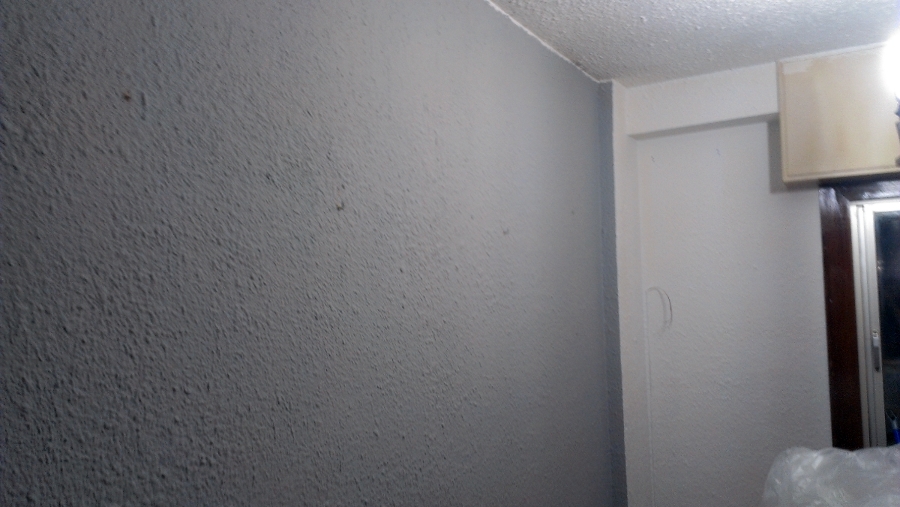 Pintura, lacado y electricidad