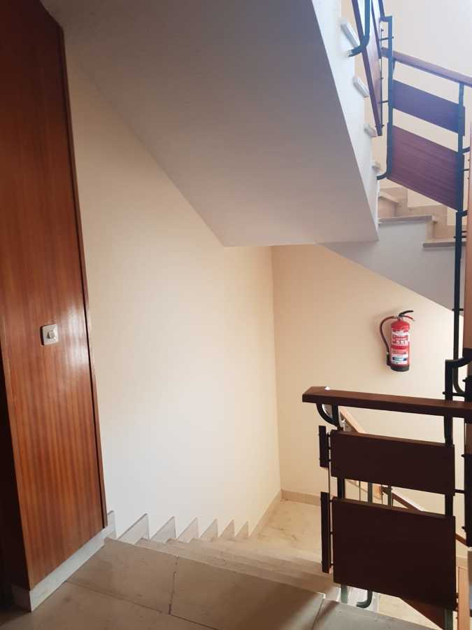 PINTURA PLÁSTICA LISA COLOR