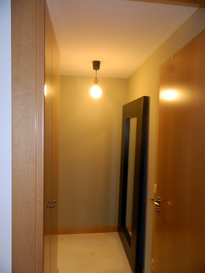 pintura plastca lisa