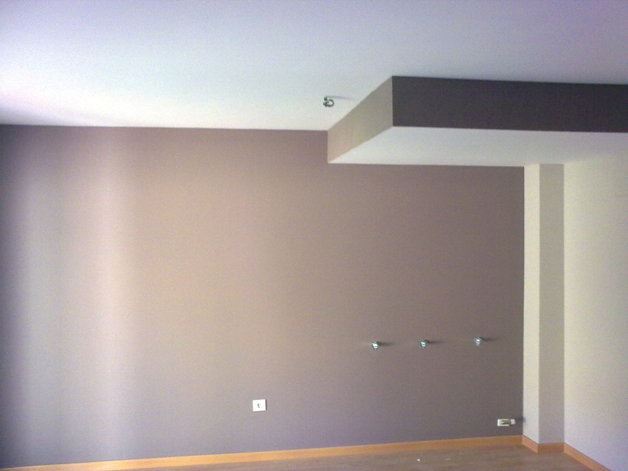 Pintura plástica mate lisa