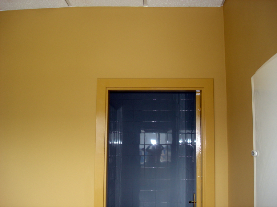 Pintura plástica y esmalte