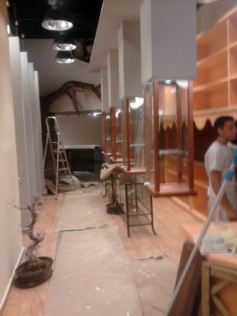 Pintura y decoracion