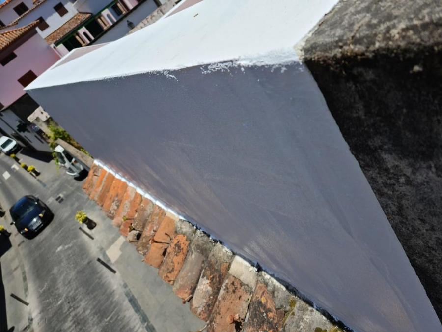 Pintura y reparación exterior paredes, muros y tejas