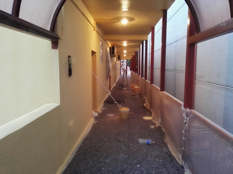 pintura zonas comunes